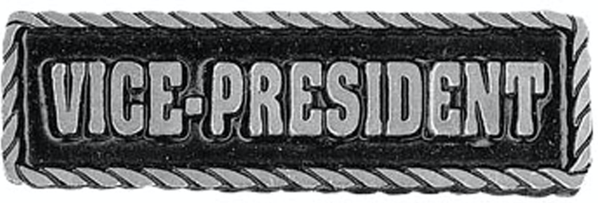 Rank - Vice President Pin